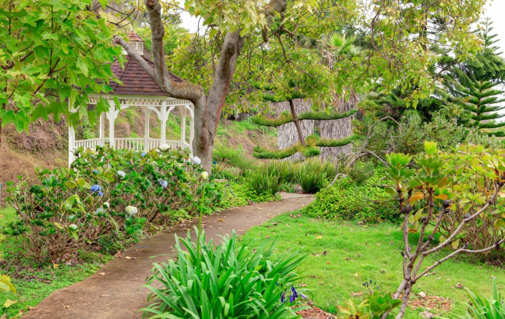 Autumn on Maui