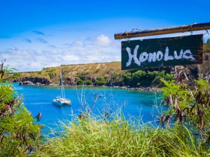 Honolua Bay snorkel boat