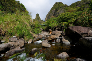 Ian Valley stream in West Maui 