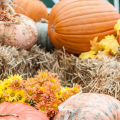 Maui in October: Whales, Fall, and Halloween Fun